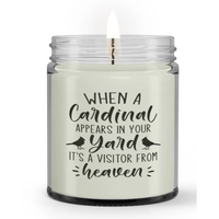 When Cardinal Appears In Your Yard Visitor From Heaven Memorial Sympathy Condolence Candle