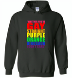 Whether you're gay straight purple orange dinosaur i don't care lgbt gay pride - Gildan Heavy Blend Hoodie