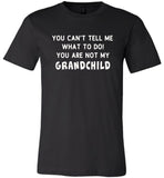 You can't tell me what to do you're not my Grandchild T-shirt