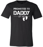 Promoted to Daddy est 2019, daddy tee shirt, father's gift shirt