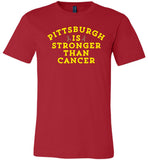 Pittsburgh Is Stronger Than Cancer Autism T-Shirt