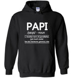Papi Another Term of Grandfather Just Much Cooler, Funny Grandpa Dad Fathers Day Gift Tee Shirt