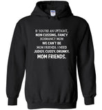 If you're an uptight non cussing fancy shmancy mom friends shirt