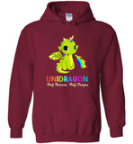 Unidragon Half Unicorn Half Dragon Tee Shirt Hoodie