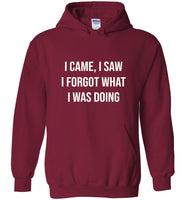 I came I saw I forgot what I was doing tee shirt hoodie