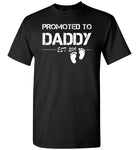 Promoted to Daddy est 2019, daddy tee shirt, father's gift shirt