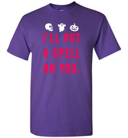 I'll put a spell on you halloween t shirt gift