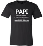Papi Another Term of Grandfather Just Much Cooler, Funny Grandpa Dad Fathers Day Gift Tee Shirt
