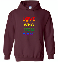 Love who you want lgbt gay pride - Gildan Heavy Blend Hoodie