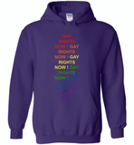 Gay rights now gay LGBT rainbow pride - Gildan Heavy Blend Hoodie