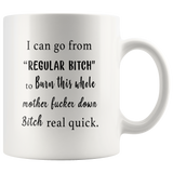 I can go home from Regular Bitch to Burn this whole mother fucker down Bitch real quick gift white coffee mugs